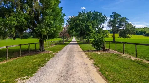 23100 SE Highway 42 Umatilla FL 32784