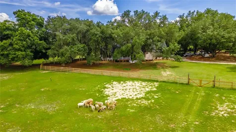 23100 SE Highway 42 Umatilla FL 32784