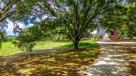 23100 SE Highway 42 Umatilla FL 32784