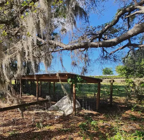 23100 SE Highway 42 Umatilla FL 32784