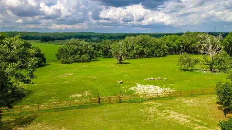 23100 SE Highway 42 Umatilla FL 32784