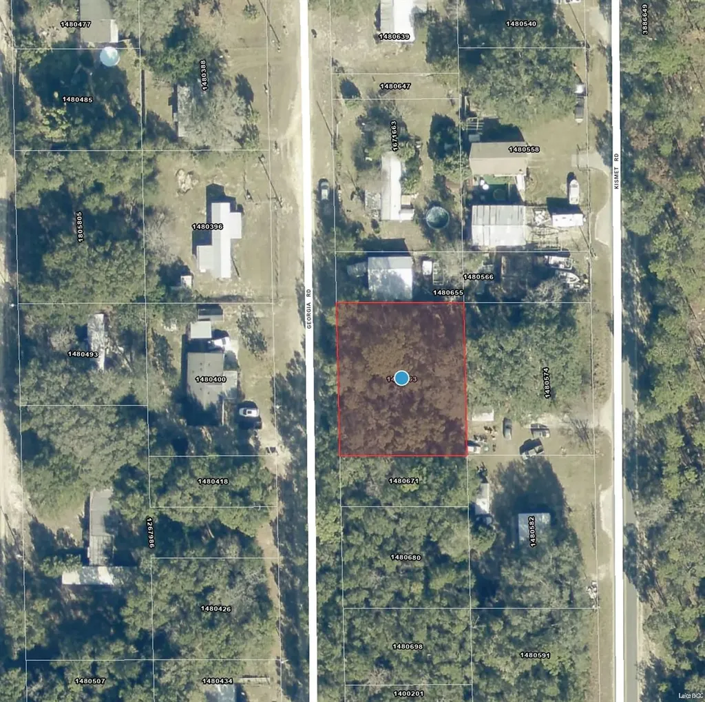 000 Georgia Road Altoona FL 32702