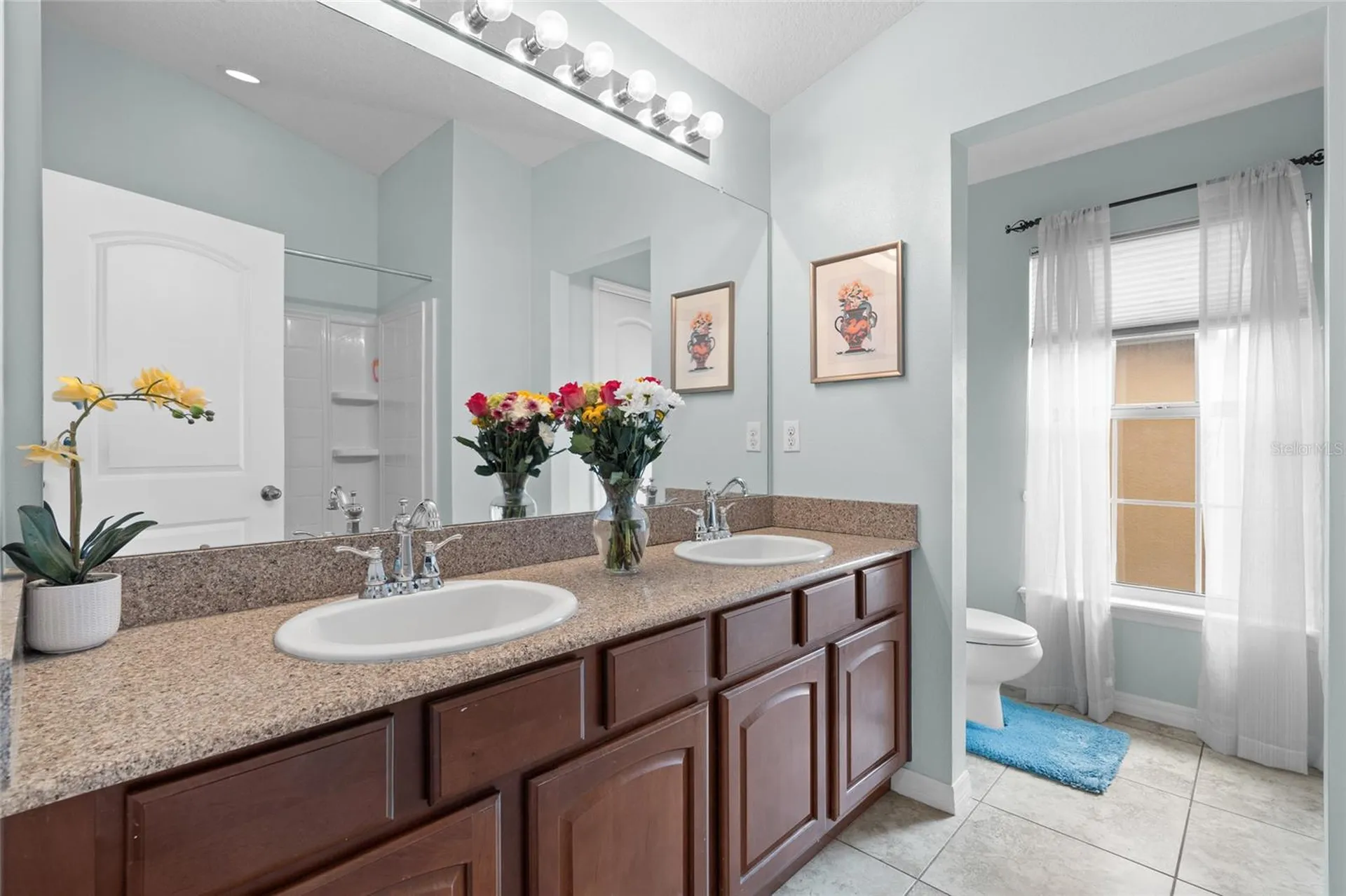 6714 Breezy Palm Drive Riverview FL 33578
