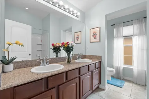 6714 Breezy Palm Drive Riverview FL 33578