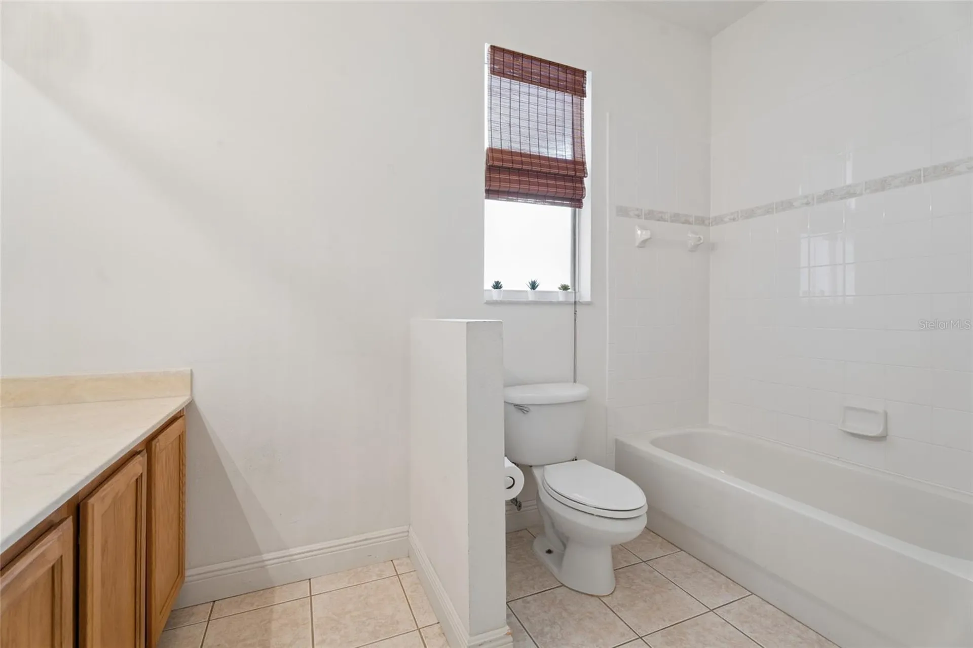 14227 Lake Live Oak Drive Orlando FL 32828