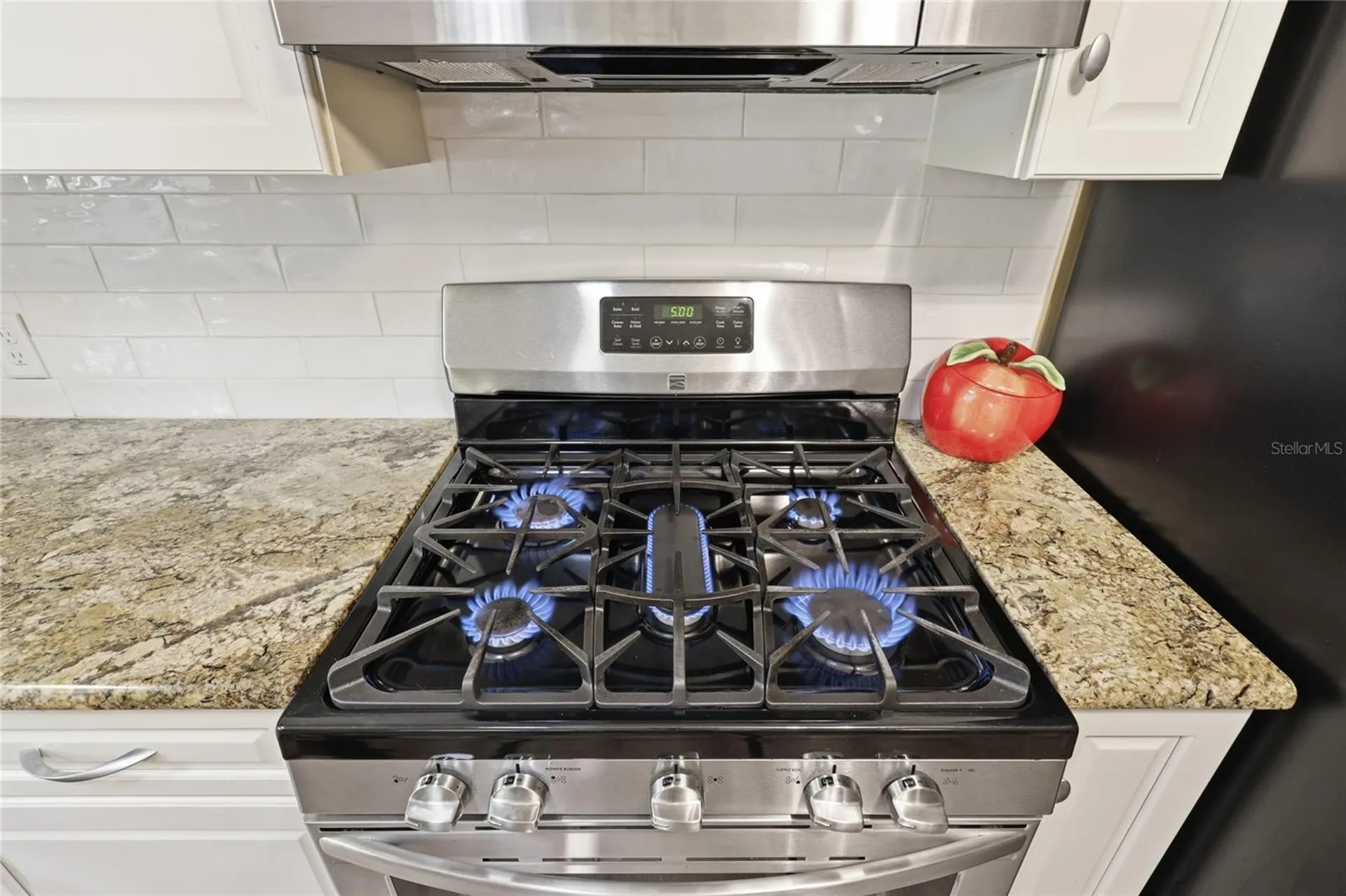 3219 NW 29th Terrace Gainesville FL 32605