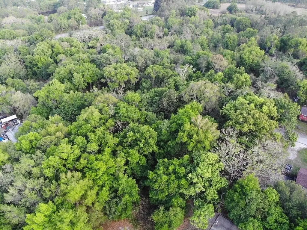 2156 Old Hickory Tree Road St Cloud FL 34772