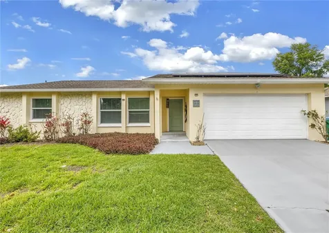 143 Cherry Laurel Drive Palm Harbor FL 34683
