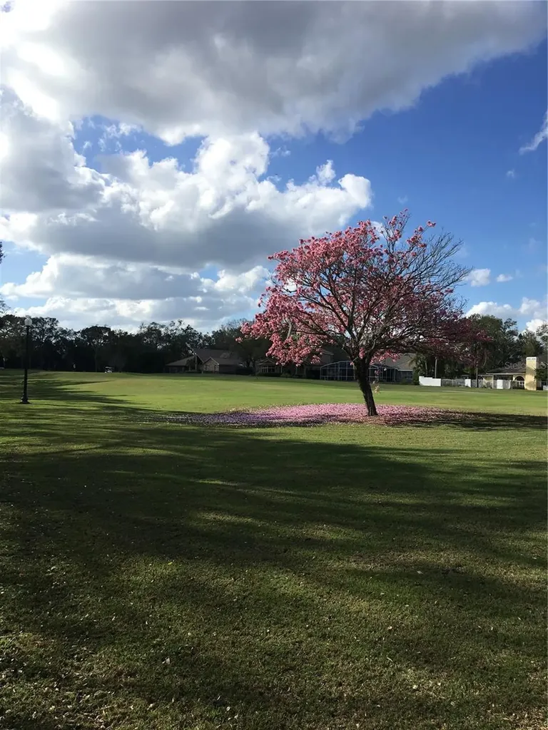 336 Ashford Court Lake Mary FL 32746