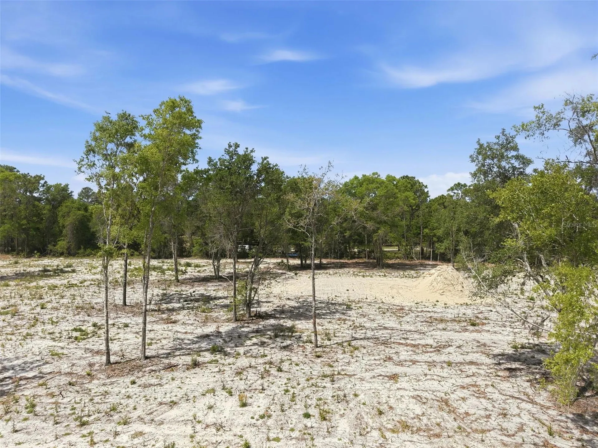 14235 Carolina Dove Road Weeki Wachee FL 34614