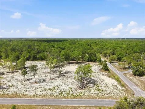 14235 Carolina Dove Road Weeki Wachee FL 34614