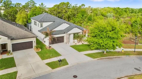 11814 Cross Vine Drive Riverview FL 33579