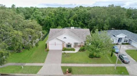 7406 Mint Julep Drive Riverview FL 33578