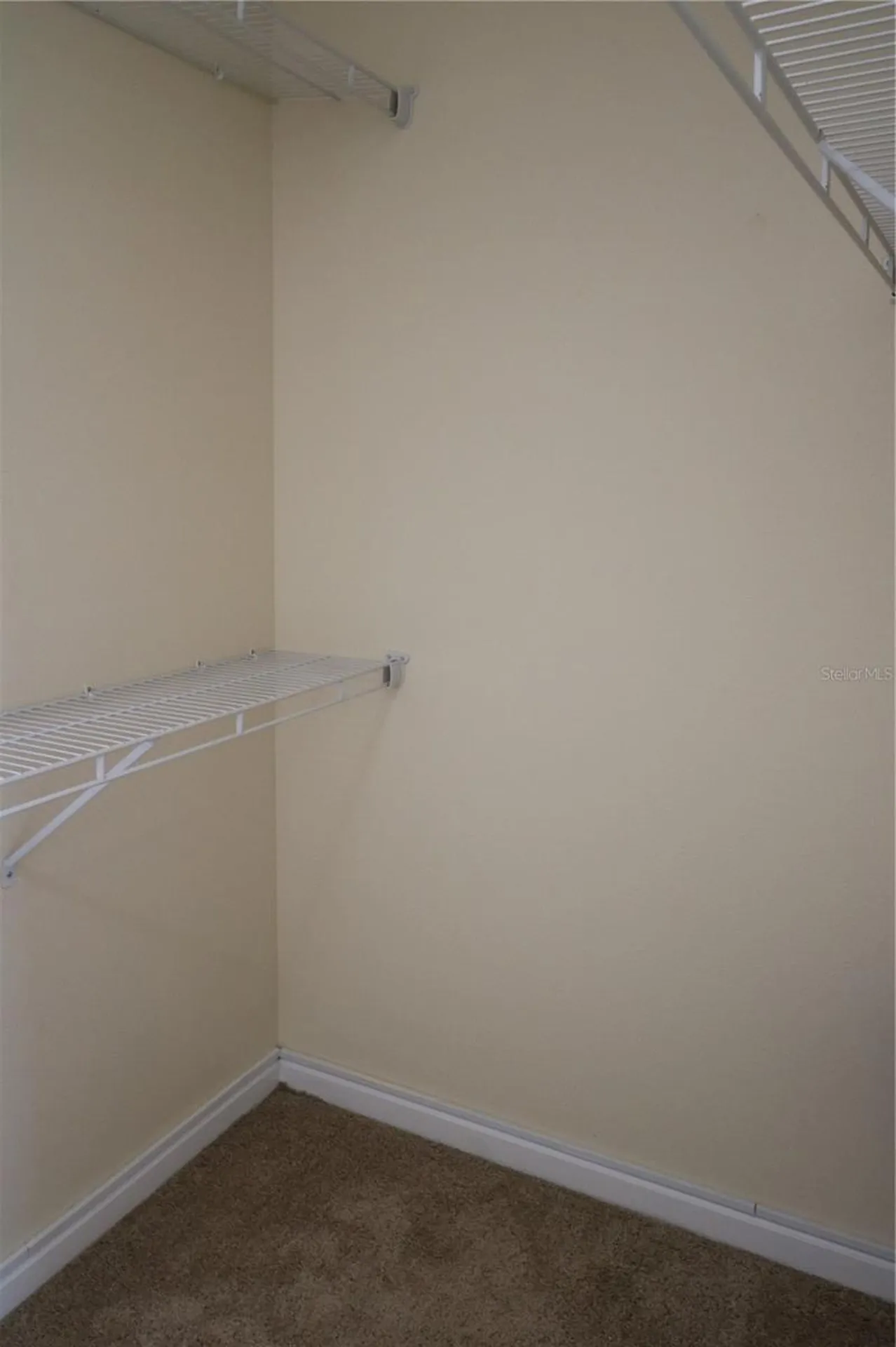 10165 Haverhill Ridge Drive Riverview FL 33578