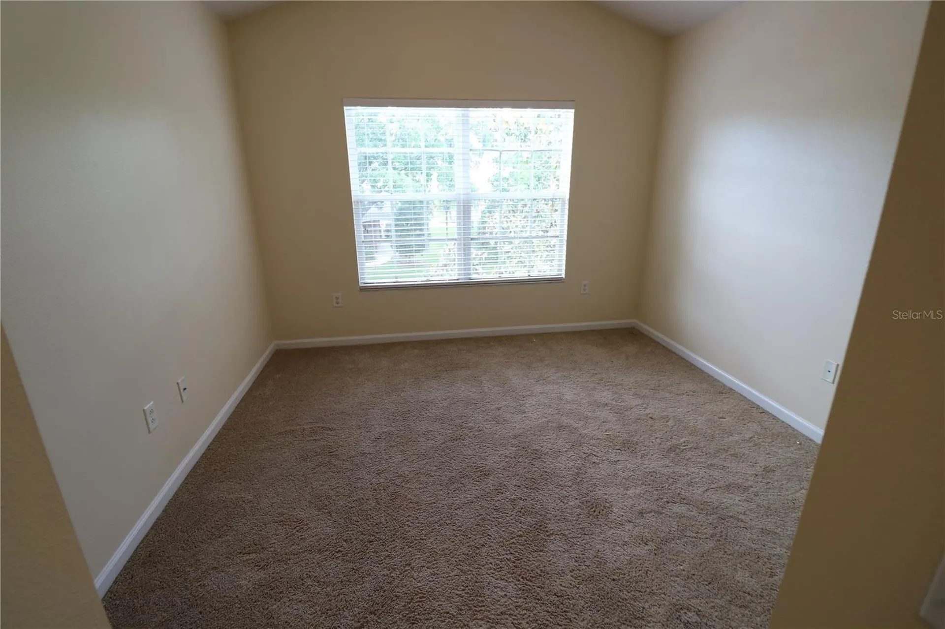 10165 Haverhill Ridge Drive Riverview FL 33578