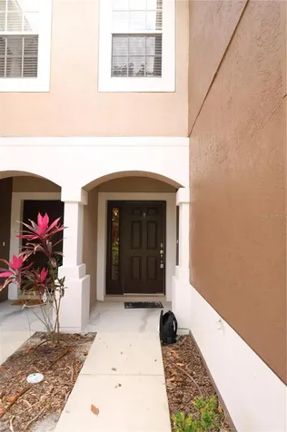 10165 Haverhill Ridge Drive Riverview FL 33578