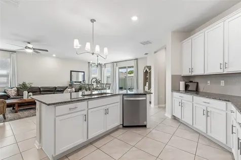 20121 Azul Marble Loop Land O Lakes FL 34638