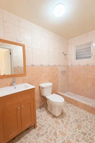Carr 901 Barrio Camino Nuevo Yabucoa PR 00767