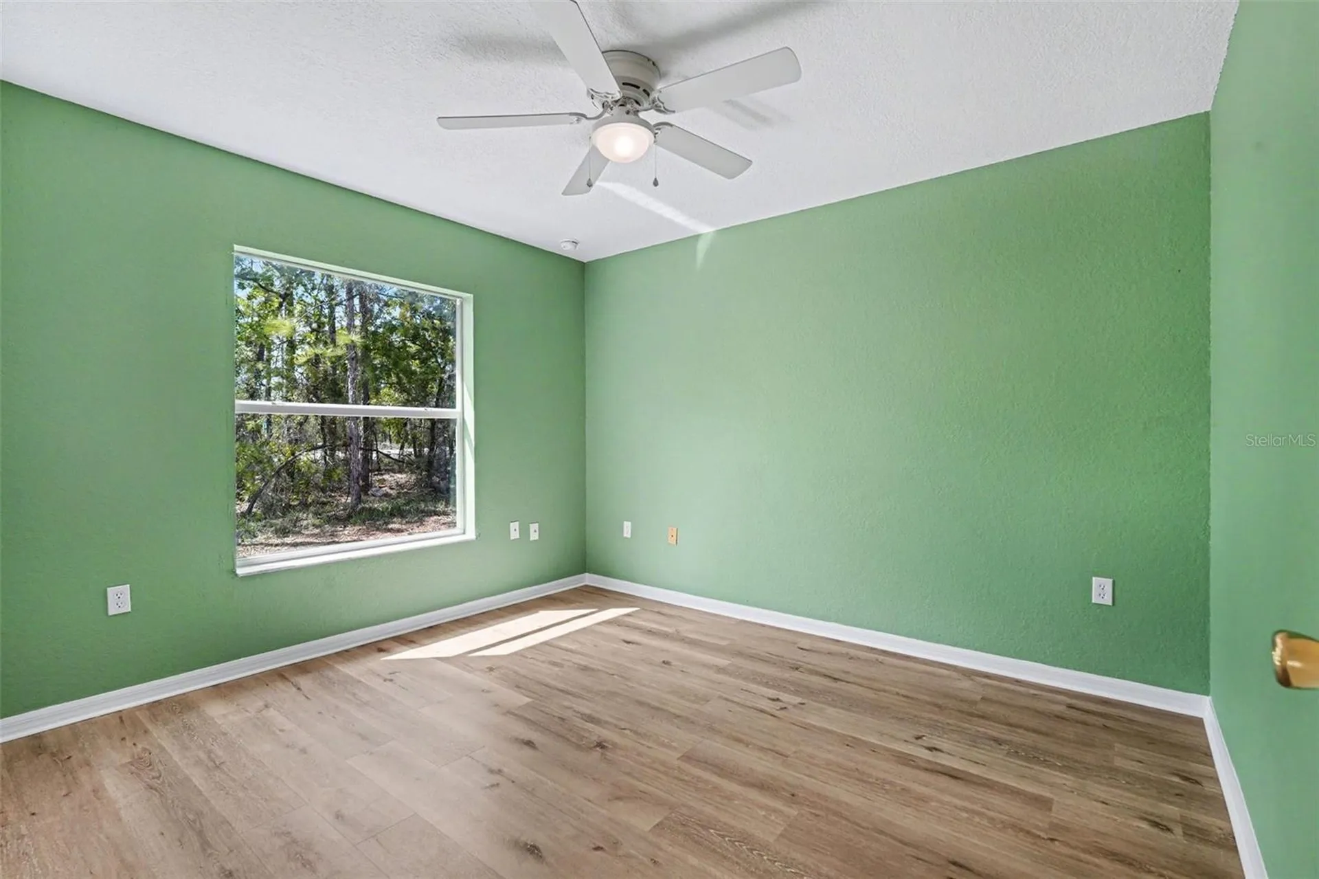 12276 Snow Goose Avenue Brooksville FL 34614