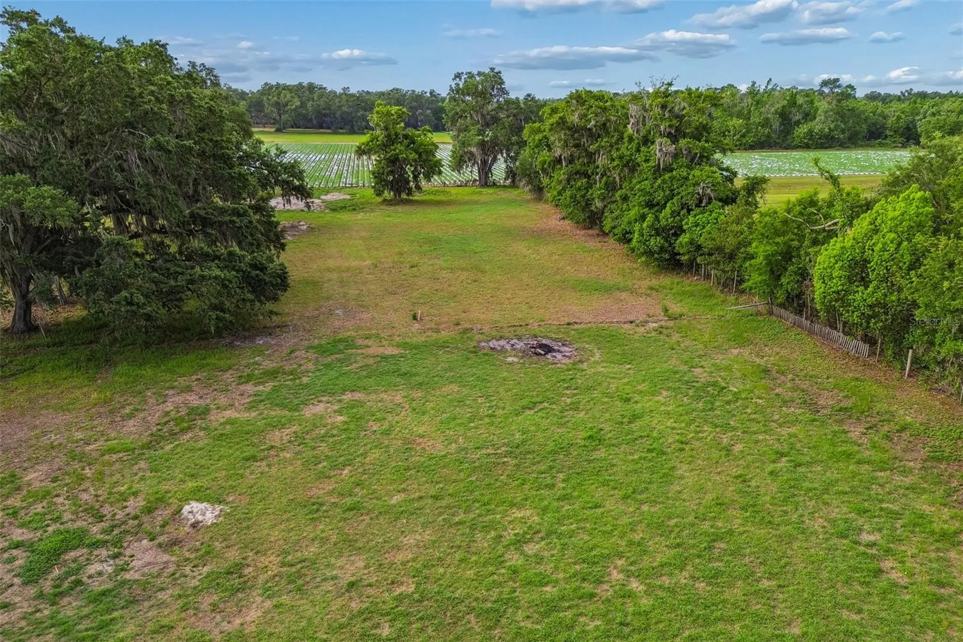 3005 W Sam Allen Road Plant City FL 33565