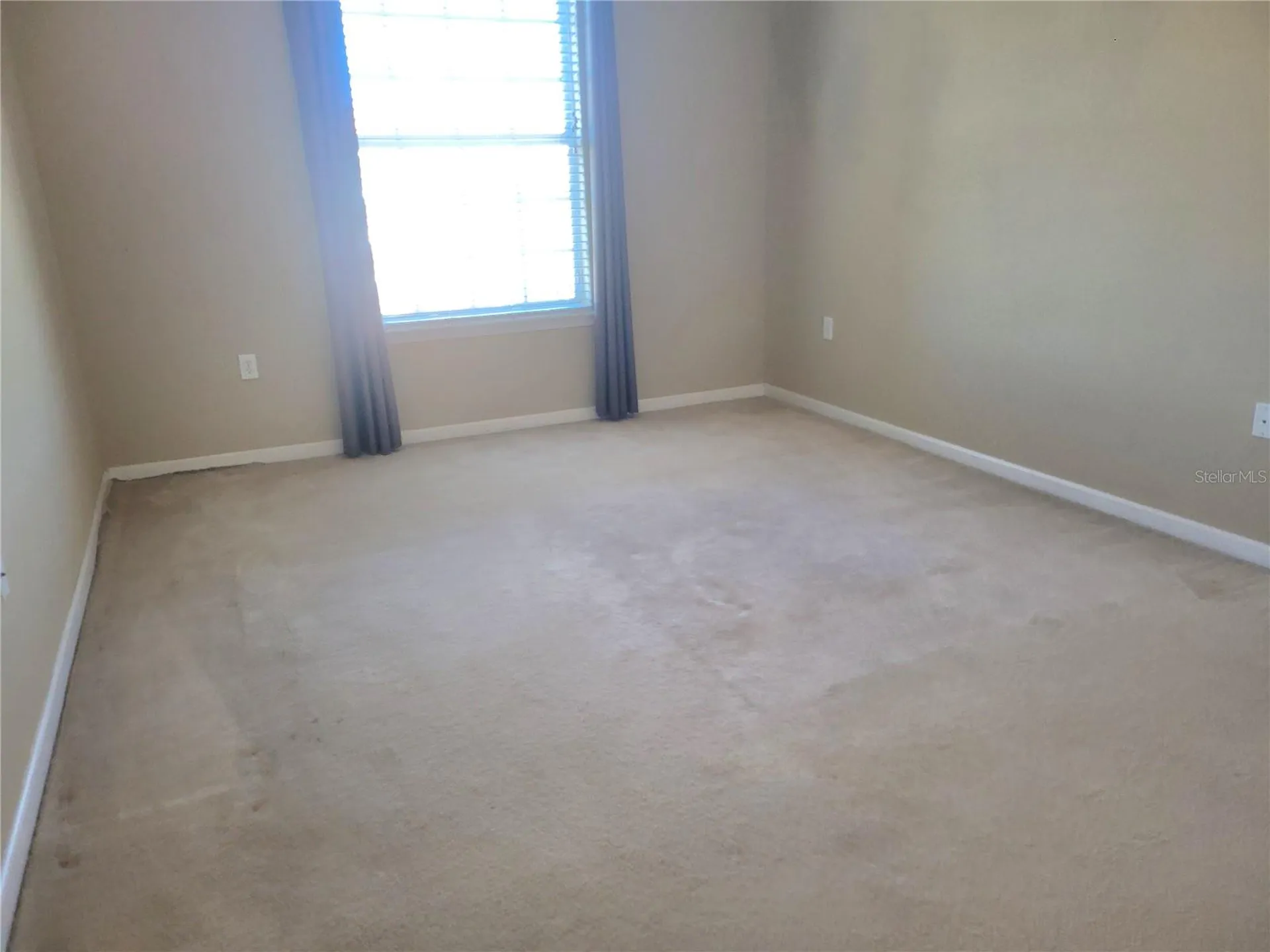 7905 N Seminole Boulevard Seminole FL 33772