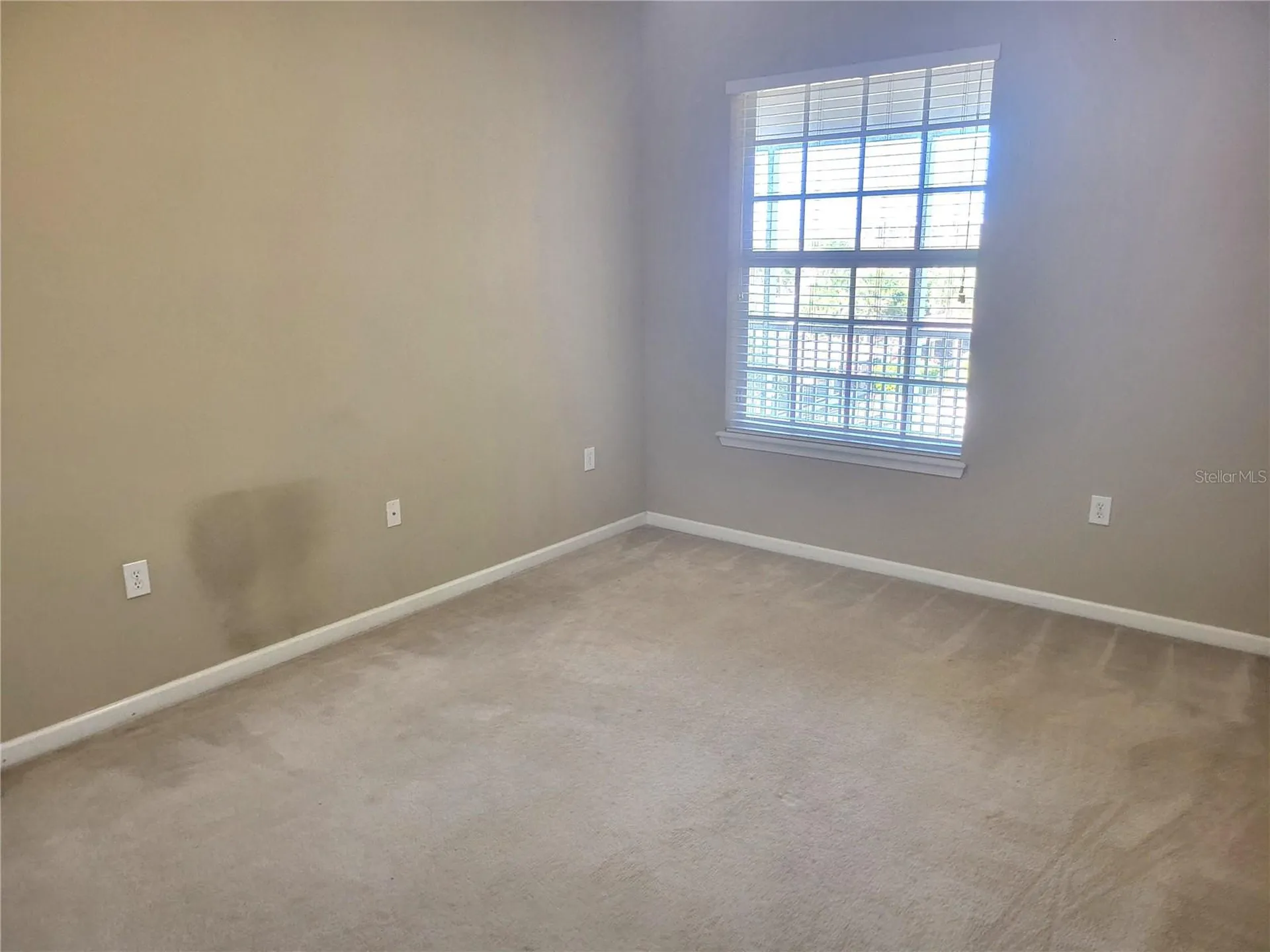 7905 N Seminole Boulevard Seminole FL 33772