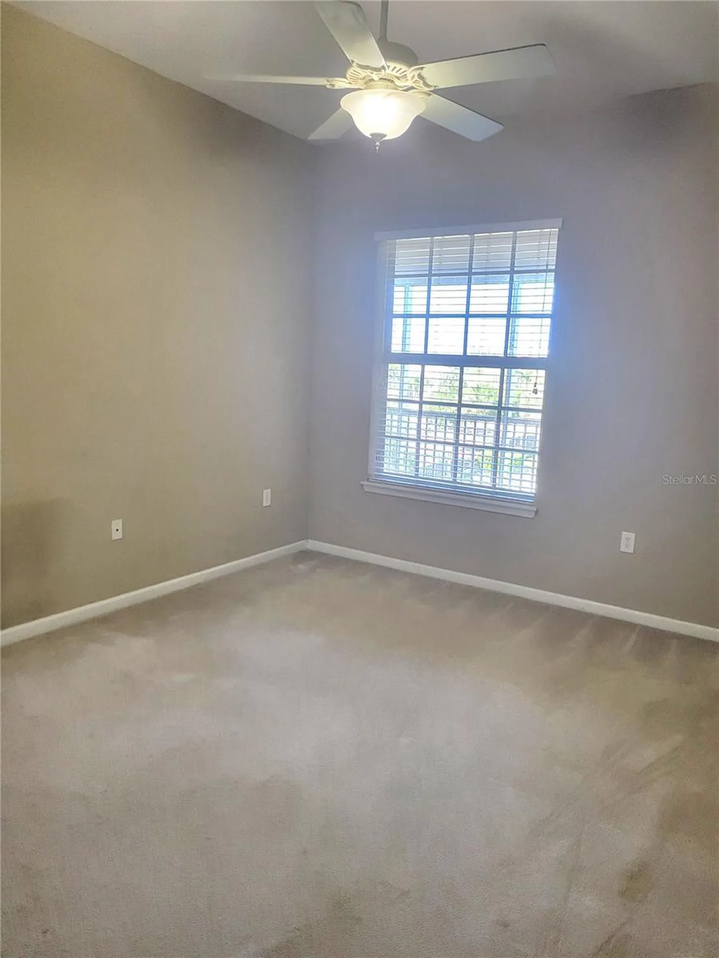 7905 N Seminole Boulevard Seminole FL 33772