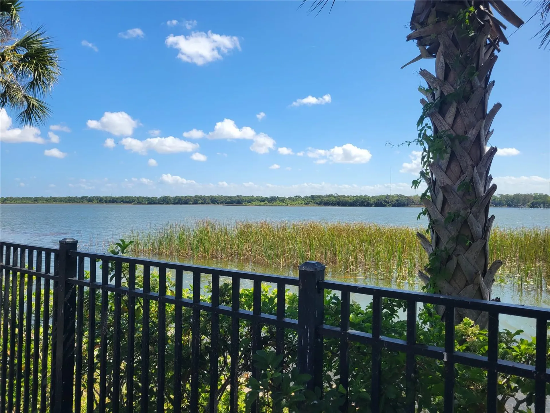 7905 N Seminole Boulevard Seminole FL 33772