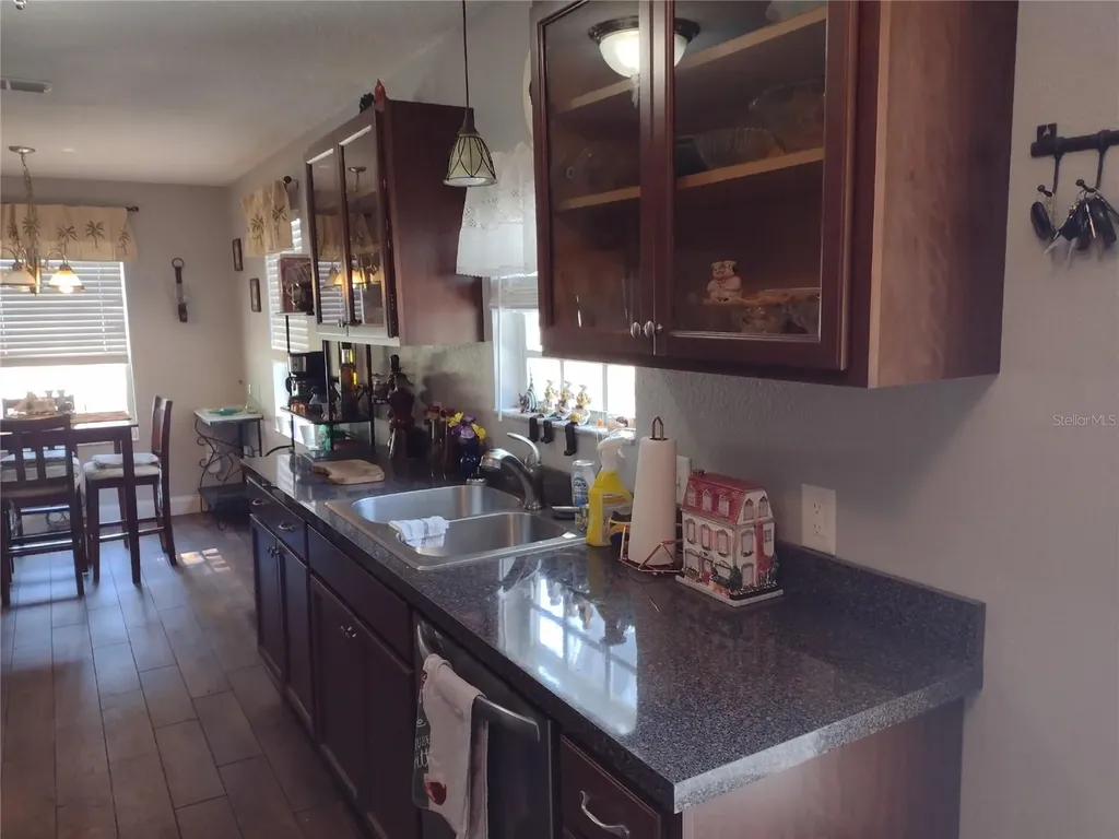 1523 Granite State Court Mount Dora FL 32757