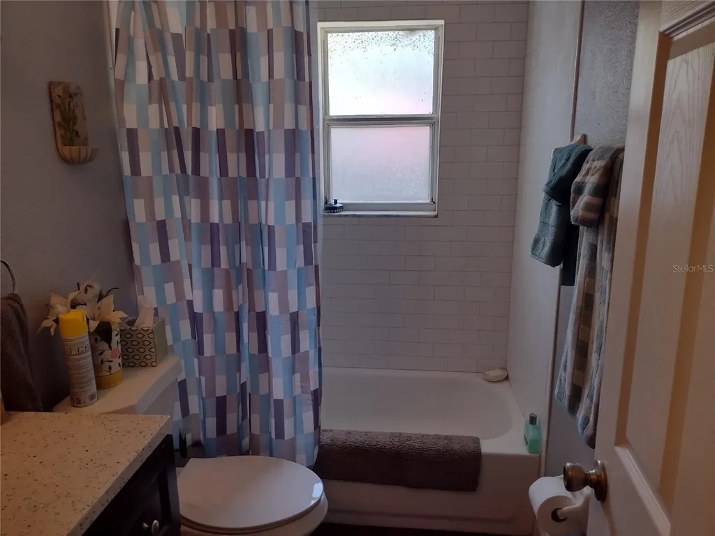 1523 Granite State Court Mount Dora FL 32757