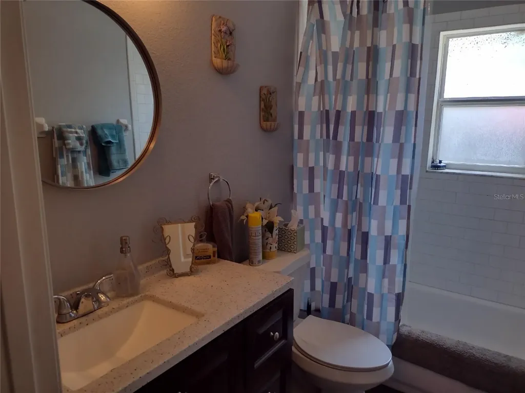 1523 Granite State Court Mount Dora FL 32757