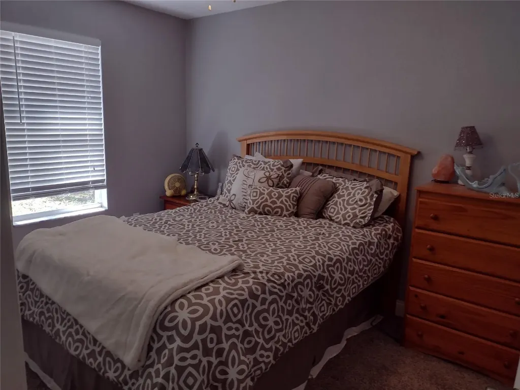 1523 Granite State Court Mount Dora FL 32757