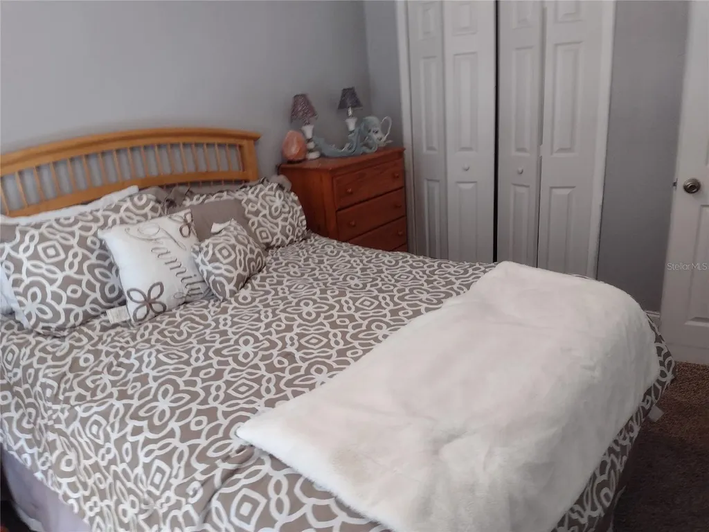1523 Granite State Court Mount Dora FL 32757
