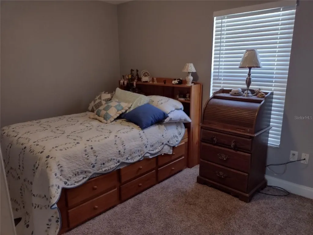 1523 Granite State Court Mount Dora FL 32757