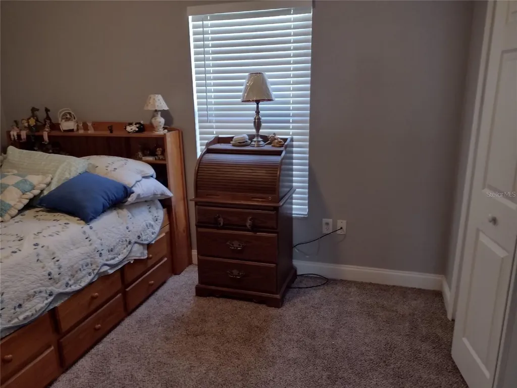 1523 Granite State Court Mount Dora FL 32757