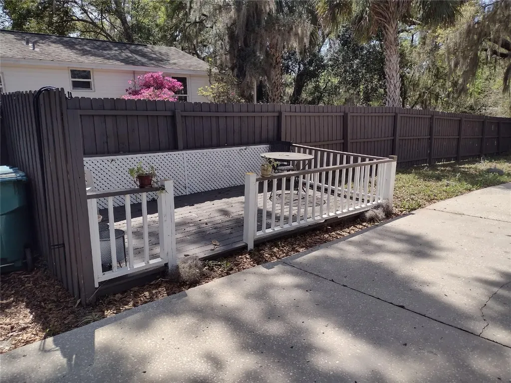 1523 Granite State Court Mount Dora FL 32757