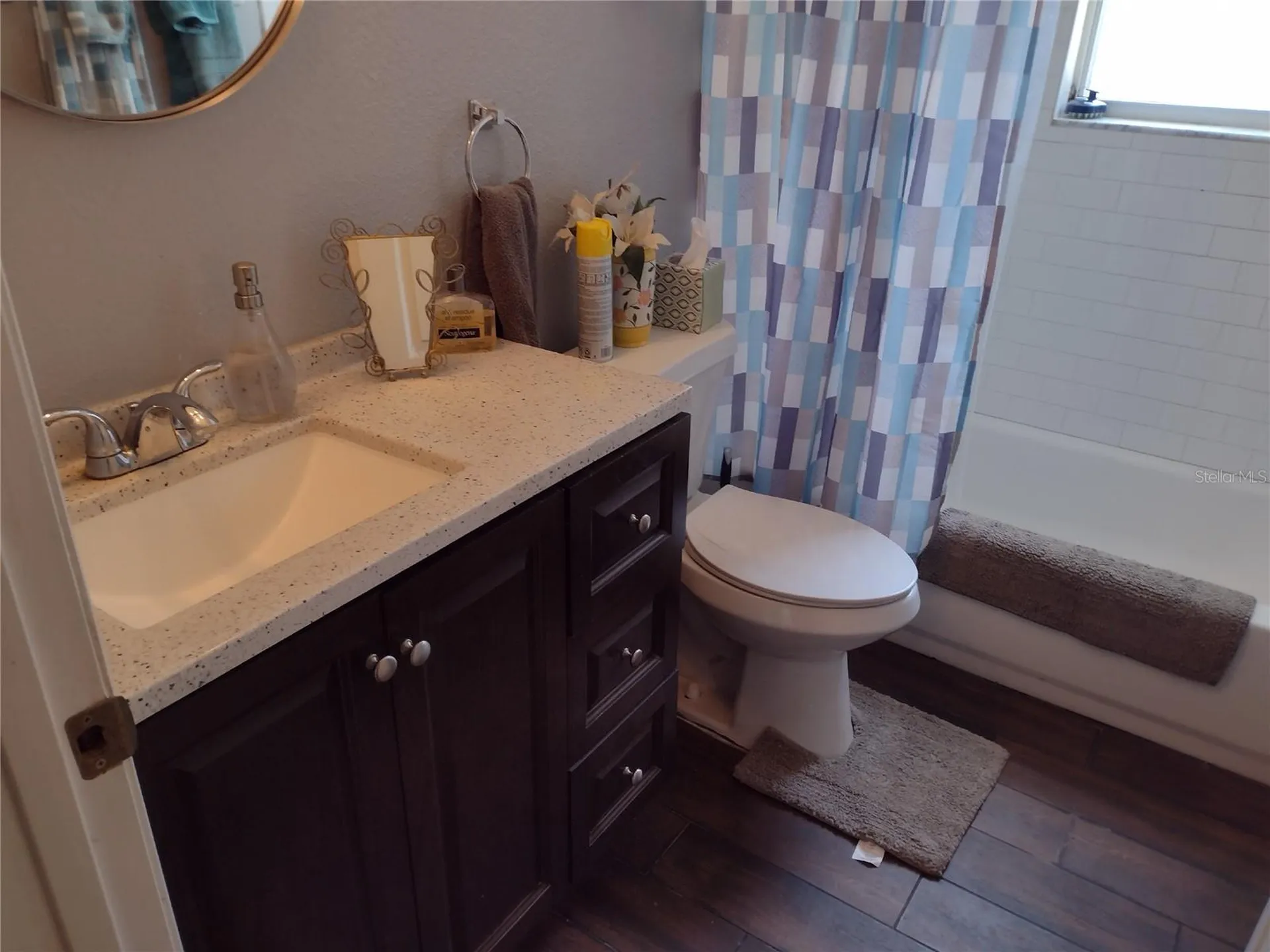 1523 Granite State Court Mount Dora FL 32757
