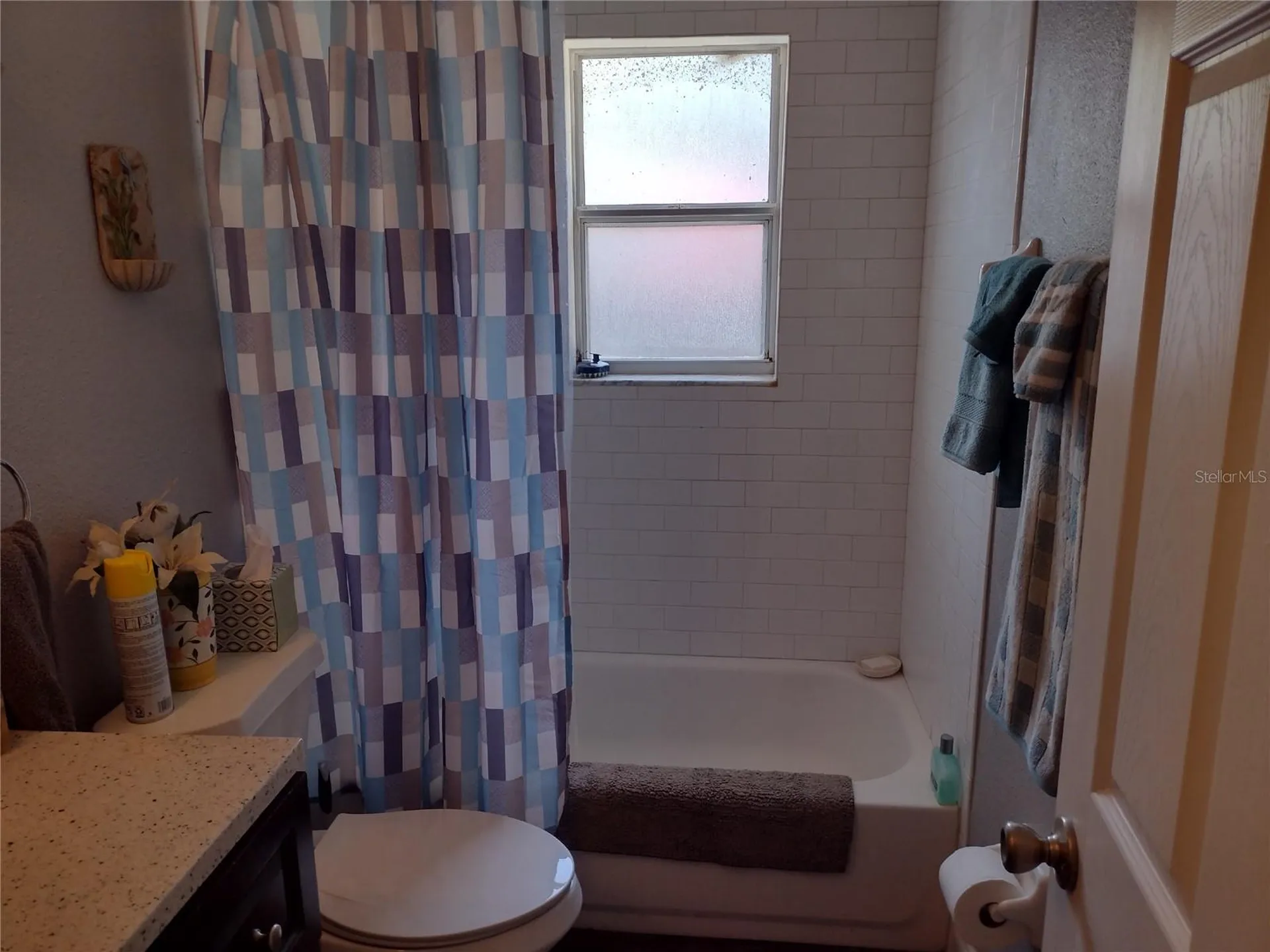 1523 Granite State Court Mount Dora FL 32757