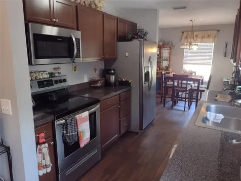 1523 Granite State Court Mount Dora FL 32757