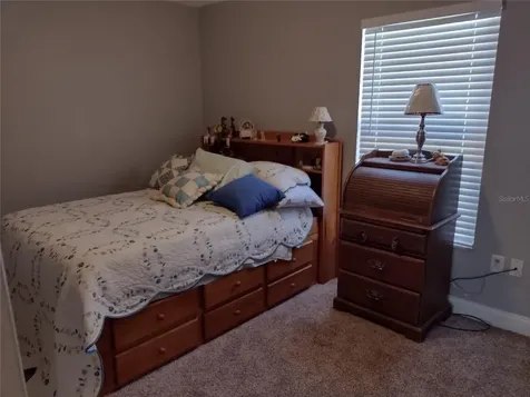 1523 Granite State Court Mount Dora FL 32757