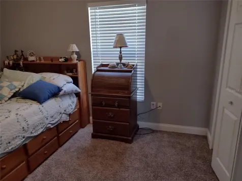 1523 Granite State Court Mount Dora FL 32757
