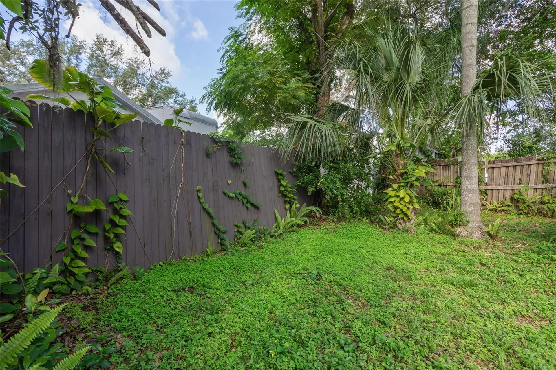 8006 N Temple Place Tampa FL 33617