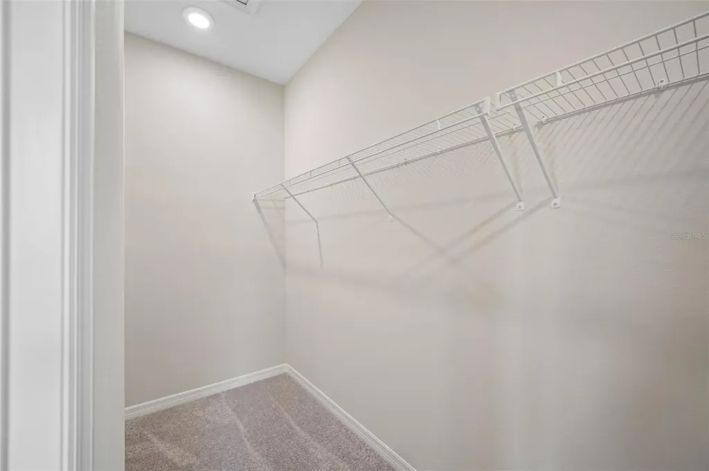 11810 Tetrafin Drive Riverview FL 33579