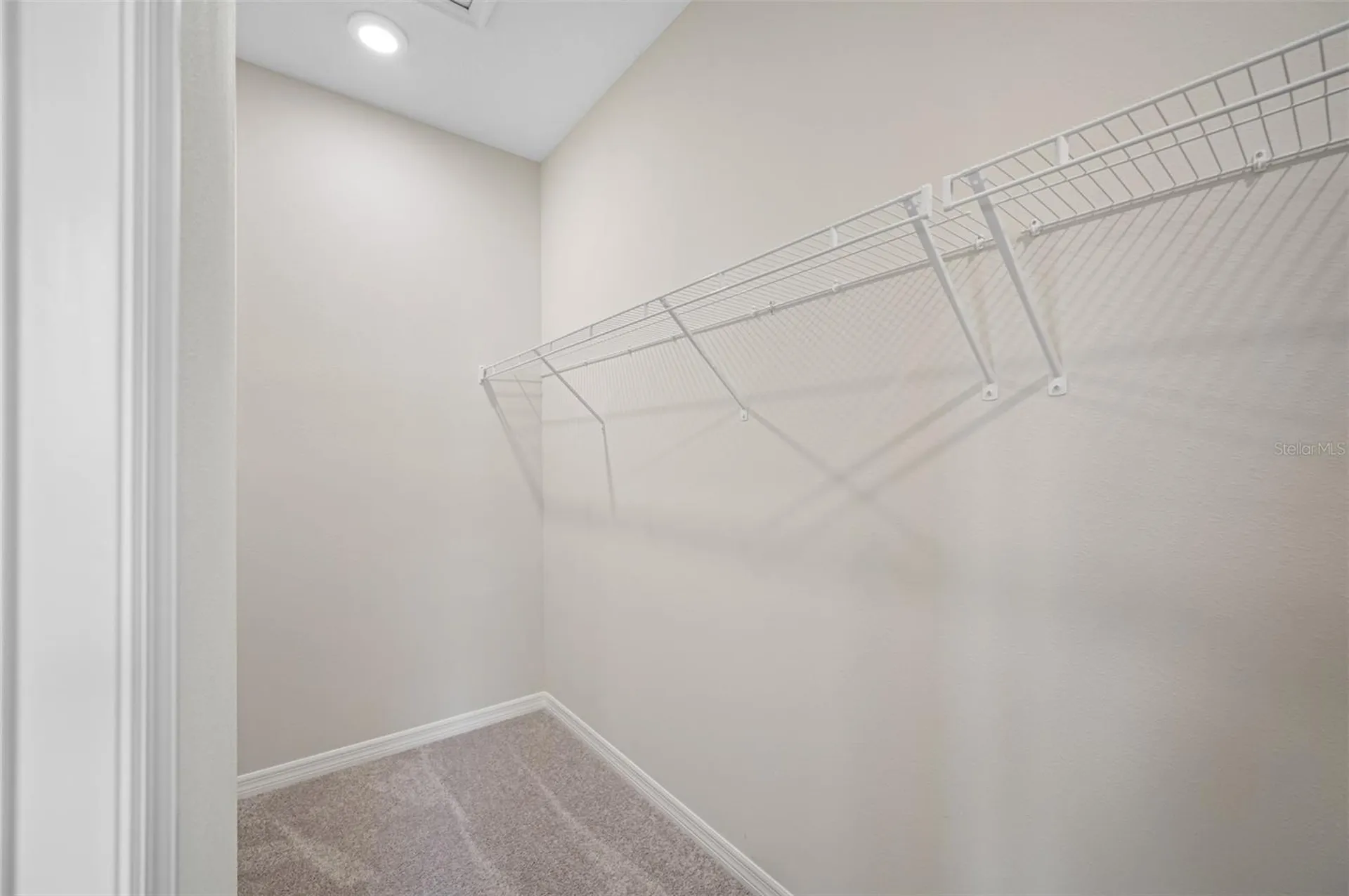 11810 Tetrafin Drive Riverview FL 33579