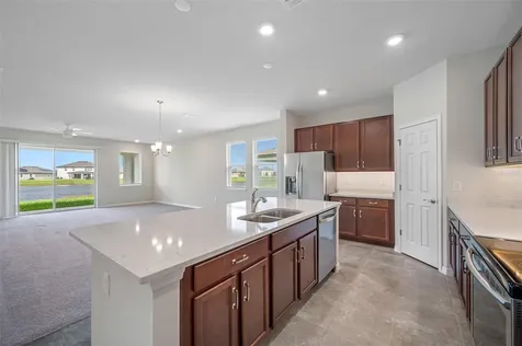 11810 Tetrafin Drive Riverview FL 33579