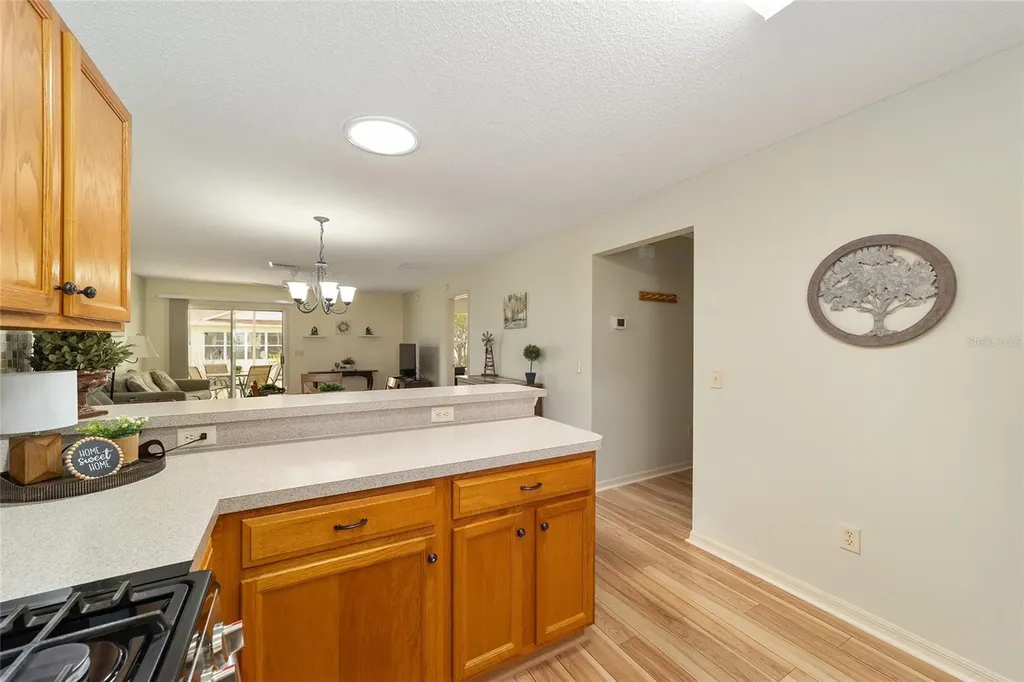 17040 SE 96th Chapelwood Circle The Villages FL 32162