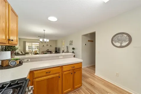 17040 SE 96th Chapelwood Circle The Villages FL 32162
