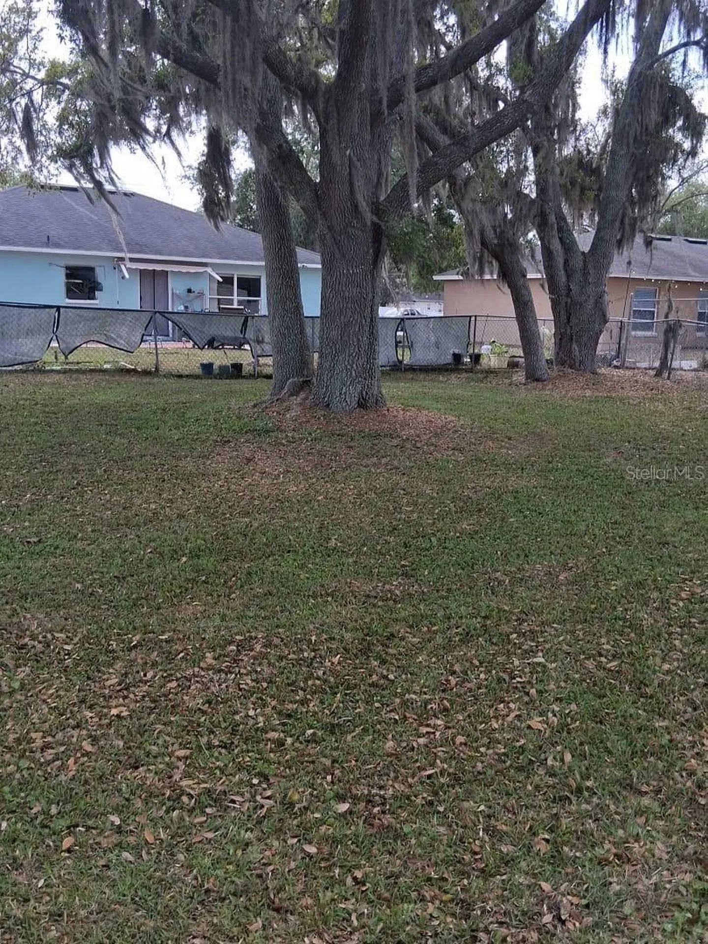 443 Flamingo Court Kissimmee FL 34759