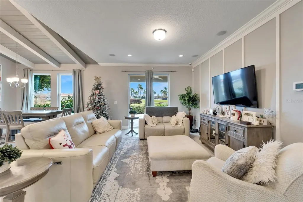13316 Palmera Vista Drive Riverview FL 33579