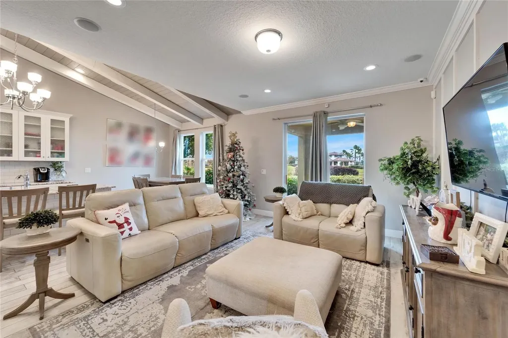 13316 Palmera Vista Drive Riverview FL 33579